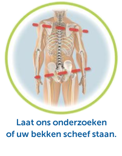 Krullaards Perfect Reset, Fysiotherapeut, Fysio, Nekklachten, Schouderklachten, Rugklachten, Hoofdpijn, Migraine, Hernia, RLS, Restless Legs, rusteloze benen, Bekkenscheefstand, Scoliose, KPR therapie, Krullaards methode, Nekpijn, Schouderpijn, Rugpijn, Hernia, Acute rugklachten, Acute rugpijn, Online afspraak, Online intake, Rugspecialist, Gespecialiseerde Fysiotherapeuten, Lichamelijke klachten, Krullaards Perfect Reset Apeldoorn, KPR Apeldoorn, Krullaards Perfect Reset Barneveld, KPR Barneveld, Krullaards Perfect Reset Breda, KPR Breda, Rugspecialist Apeldoorn, Rugspecialist Barneveld, Rugspecialist Breda, Krullaards Perfect Reset Delft, KPR Delft, Rugspecialist Delft, Krullaards Perfect Reset Den Haag, KPR Den Haag, Rugspecialist Den Haag, KPR Haarlem, Krullaards Perfect Reset Haarlem, Rugspecialist Haarlem, KPR Purmerend, Krullaards Perfect Reset Purmerend, Rugspecialist Purmerend, KPR Rotterdam, Krullaards Perfect Reset Rotterdam, KPR Rotterdam, Rugspecialist Rotterdam, KPR Sittard-Geleen, Krullaards Perfect Reset Sittard-Geleen, Rugspecialist Sittard-Geleen, KPR Zoetermeer, Krullaards Perfect Reset Zoetermeer, Rugspecialist Zoetermeer, Rugspcecialist, Gespecialiseerde fysiotherapeuten, Fysiotherapie, Fysio, Bekkenmeting, Bekkenscheefstand