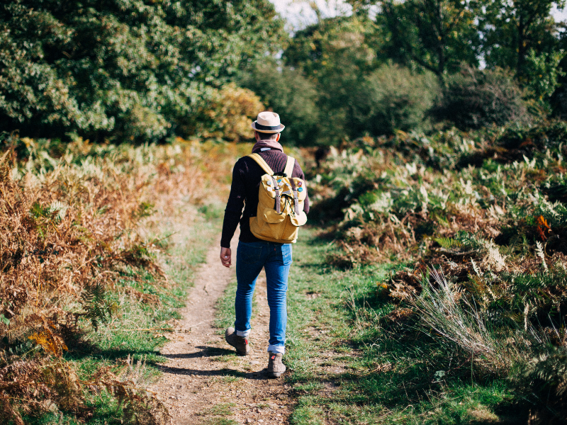 Waarom is wandelen zo gezond en hoe voorkomt u rugklachten tijdens het wandelen?